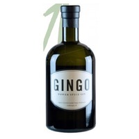 Ingo Holland - Gingo Power Spyce Gin 0,5L