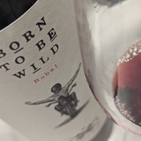 Born To Be Wild tinto
