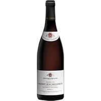 Bouchard Père & Fils : Volnay 1er cru Caillerets - Ancienne Cuvée Carnot Domaine