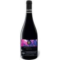 DELUXE Pinot Noir Valle de Leyda Gran Reserva trocken vegan, Rotwein