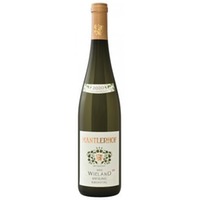 Riesling Wieland 1ÖTW Kremstal DAC