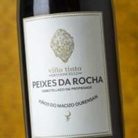 Peixes Da Rocha