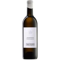 Falkenberg Weißburgunder 1. ÖTW