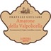 Fratelli Giuliari - Amarone della Valpolicella DOCG 