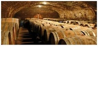 Blended Scotch Whisky Master Cut Deluxe 35 Jahre 250 ml