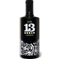Gin 13 40% Vol
