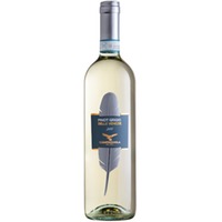 Pinot Grigio delle Venezie - Campagnola