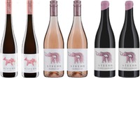 Rose Empfehlung von Pia Strehn