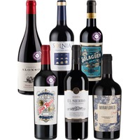 6er-Paket Spanische Rotweine - Weinpaket