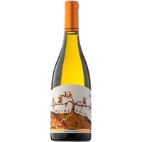 Michel Gassier Nostre Païs blanc AOP Costières de Nîmes - - Côtes du Rhône, Frankreich