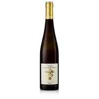 Kastanienbusch Riesling GG trocken 12.5 % vol. Rebholz BIO 750 ml