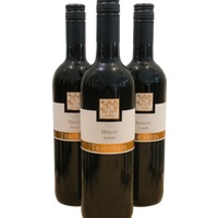 Merlot Rotwein feinherb - Weingut Trautwein