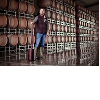 Sunshine Paket Sauvignon Blanc XXX 11+1 Peth-Wetz