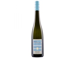 Wittmann | Riesling vom Kalkstein