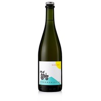 Pet Nat in a hell mood Unfiltriert Perlwein 11 % vol. Renner BIO 750 ml