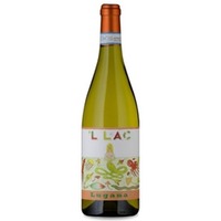 Lugana L LAC DOC MAGNUM Cavalchina