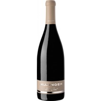 Leo Hillinger Pinot Blanc Leithaberg DAC BIO