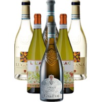 Lugana Weißweine Probierpaket Lago di Garda Bianco 6er Angebot