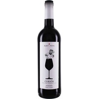 Albet i Noya Curios Tempranillo