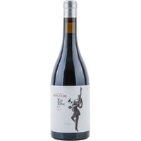 Tros del Clos Mas del Metge