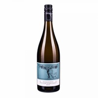 Weißer Burgunder Kalkgestein