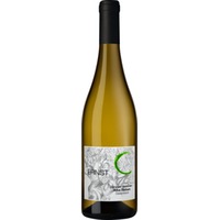 Grüner Veltliner Alte Reben, Burgenland, Burgenland, 2021, Weißwein