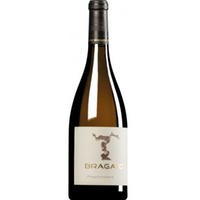 “Praephylloxera” Friulano Colli Orientali del Friuli DOC - Antonio Bragato