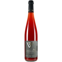 Spätburgunder Rotwein feinherb - Weingut Mathias Wittmann