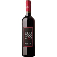 Terre Nere Ribelle Toscana IGT Rosso 0,75 ℓ