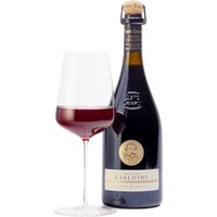 Lambrusco Grasparossa di Castelvetro DOC Vigneto Enrico Cialdini
