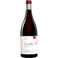 Palacios Bierzo »Villa de Corullón« - 3,0 L. Spanien Rotwein Trocken