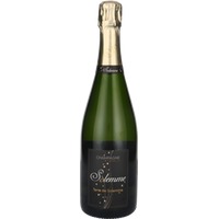 Terre de Solemme Brut