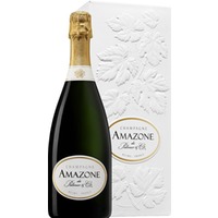 Amazone de Palmer Brut