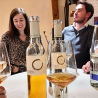 Kroiss Welschriesling Beerenauslese