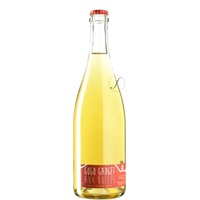 Gogo Gadget aux Bulles