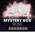 12er Mystery Box - Reise ins Rosé - Ihre Überraschungsreise in die Roséwelt v 