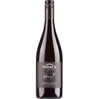 Today´s Special Appassimento Globus Wine