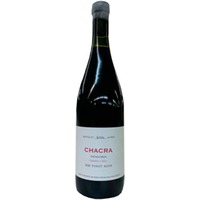 Chacra Treinta y Dos Bodega