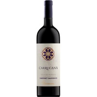 Carrucana Isola dei Nuraghi IGP trocken - Binzamanna