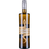 Cabernet Blanc Nobilis BIO - Hirschmugl - Domaene am Seggauberg