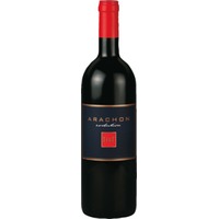 Arachon Evolution T FX T Burgenland