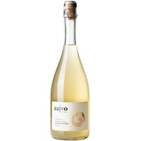 Cajvo Conegliano Valdobbiadene Prosseco Superiore DOCG brut nature - Luca Ricci