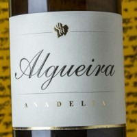Algueira Anadelia