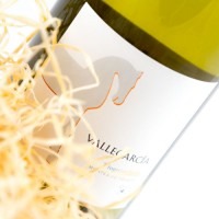 Vallegarcía Viognier Magnum