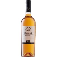 Pinot Grigio Terre degli Osci IGP trocken - La Cantina di Remo