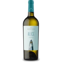 Verdeca Alice IGT 0,75l 13% - | Produttori di Manduria