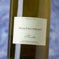 Mas Coutelou Macabeu