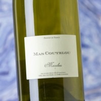 Mas Coutelou Macabeu Oeuf