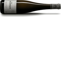 Birgit Eichinger Riesling Zöbinger Gaisberg 1.ÖTW 1,50l Magnum