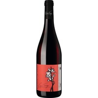 Bouquet de Syrah Collines Rhodaniennes IGP